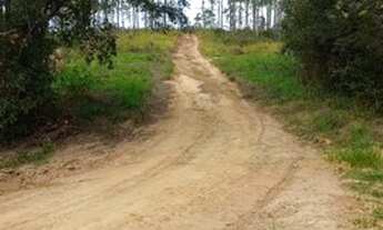 Imagem 4: Lindas chácaras em Entre Rios de Minas MG