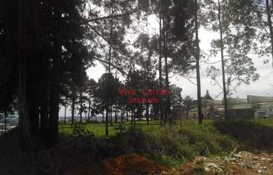 Imagem 6: Área à venda, 10909 m² por R$ 9.273.000,00 - Pinheirinho - Itaquaquecetuba/SP