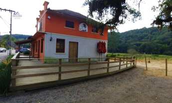 Imagem 7: Terreno para Venda em Boa Parada São Pedro de Alcântara-SC - 353