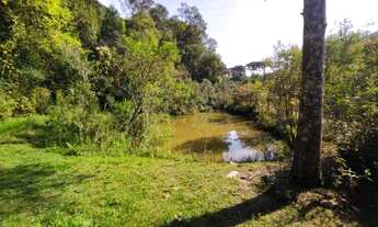 Imagem 2: Chácara com 12.100 m² Marmeleiro - Almirante Tamandaré