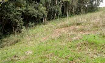 Imagem 2: Chácara otima localidade