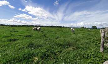 Imagem 6: Fazenda à venda, tripla aptidão, 500 hectares, na margem da BR-364, 20km até Cuiabá/MT