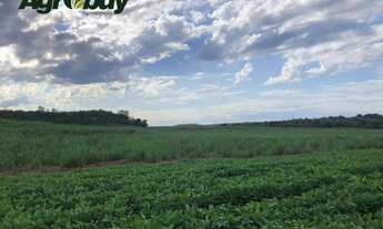 Imagem 2: Fazenda em Pedro Afonso Com 607 Alqueires