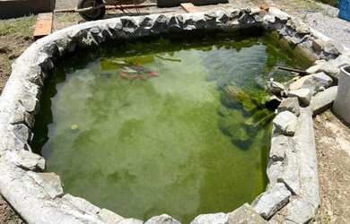 Imagem 3: Linda chácara em Mogi das Cruzes. Crédito Imobiliário