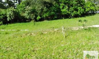 Imagem 3: Sítio de 10 Alqueires em Tatuí - SP