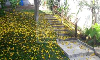 Imagem 2: Terreno localizado no bairro Vitoria Vale- Caçapava SP