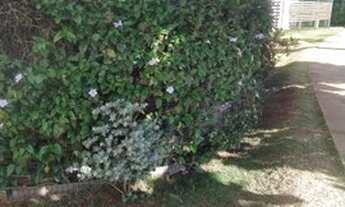 Imagem 2: Apartamento térreo com quintal para venda no Cond. Terras de São Pedro - SBO