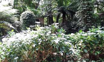 Imagem 3: Terreno no Alpes Verdes em Canela!