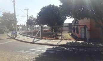 Imagem 2: Maravilhosa Esquina Viva