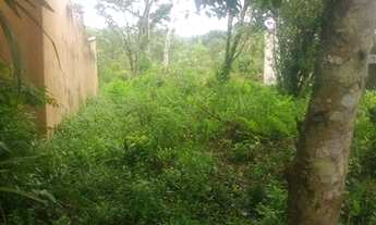 Imagem 6: Terreno litoral sul itanhaem