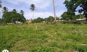 Imagem: Oportunidade Investimento - Terrenos de