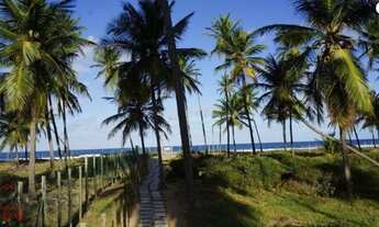 Imagem 4: Excelente terreno - próximo ao mar - Piscinas naturais - PF