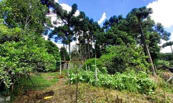Imagem 7: Terreno em Campo Alegre