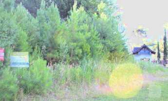 Imagem 5: VILLAGIO - GRAMADO