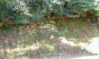 Imagem 5: Vendas Casa Pato Branco PR