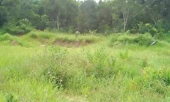 Imagem 7: CHÁCARA COXIM PRÓX AO RIO TAQUARI