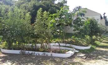 Imagem 6: Porto Alegre - Casa Padrão - Cavalhada