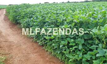 Imagem 5: Fazenda em Turvelândia MG