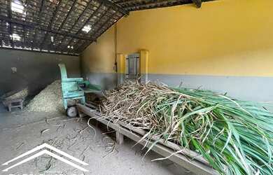 Imagem 7: Fazenda com 230 hectares em Pernambuco