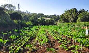 Imagem 7: CHÁCARA SÃO DOMINGOS GOIÂNIA/GO
