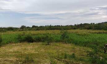 Imagem 7: Sítio 20 alqueires Plano ( Willian Ricardo