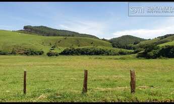 Imagem 4: FAZENDA LEITE/CORTE - MELHOR VÁRZEA DA REGIÃO - SILVEIRAS - SP