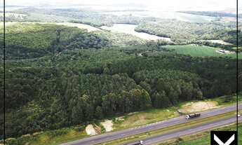 Imagem 7: Área no Pinheirinhos com 31,36 hectare