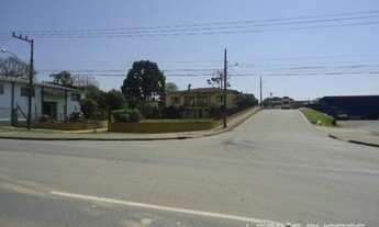 Imagem 4: Terreno para Venda em Cruzeiro São Bento do Sul-SC