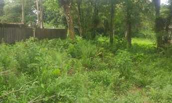 Imagem 7: Terreno litoral sul itanhaem