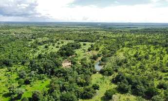 Imagem 7: Fazenda em Araguacema, Tocantins
