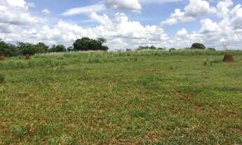 Imagem: Tiete-Sp, Sitio 6 Alqueires