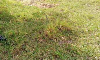 Imagem 2: Lote/Terreno para venda possui 1085 metros quadrados em Nazaré - São Joaquim de Bicas - MG