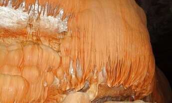 Imagem 16: Vendo Linda Chácara Ecológica Guarani de Goiás GO