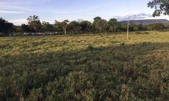 Imagem 2: Vendo fazenda com 88 alqueires à 95 KM de Palmas TO