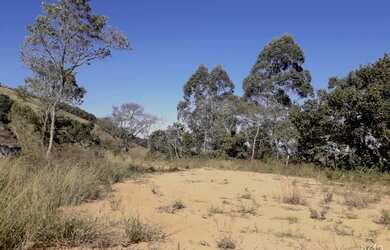 Imagem 7: Lote/Terreno para venda tem 24200 metros quadrados