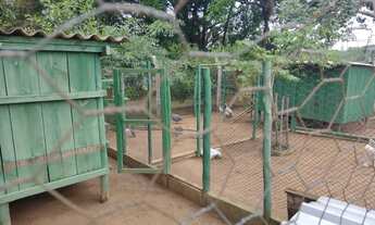 Imagem 2: LINDA CHÁCARA A VENDA NA CIDADE DE SALTO/SP