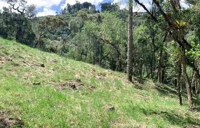 Imagem 5: Terreno no jardim Atalaia