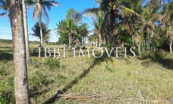 Imagem 3: Terreno Lado Novo Aeroporto Internacional