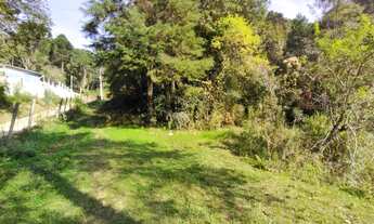 Imagem 3: Chácara com 12.100 m² Marmeleiro - Almirante Tamandaré