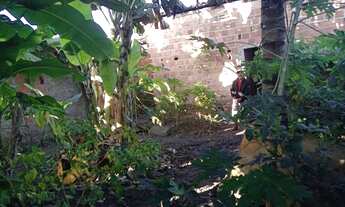 Imagem 6: Casa em Amélia Rodrigues