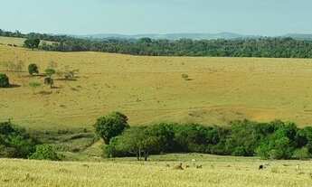 Imagem 7: Fazenda/sítios/chácaras com 2 dormitórios à venda em Três Pontas
