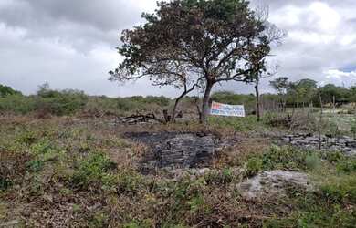 Imagem 4: Vende-se Terreno em Pium