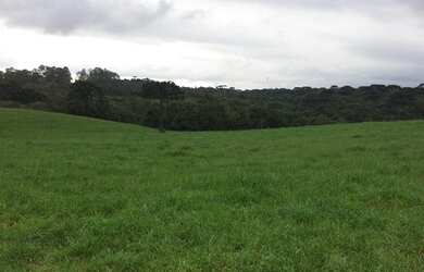 Imagem 4: Excelente Chácara Sem Benfeitorias