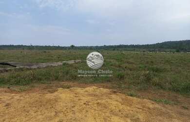 Imagem 2: Machadinho D'Oeste - Fazenda - Machadinho D'Oeste