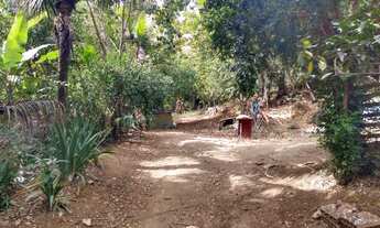 Imagem 5: Fazenda/Sítio/Chácara para venda possui 5000 metros quadrados com 2 quartos