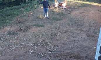 Imagem 6: Chácara em Munhoz