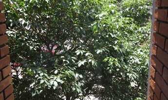 Imagem 7: CONJ. COMERCIAL - ITAIM BIBI - SP