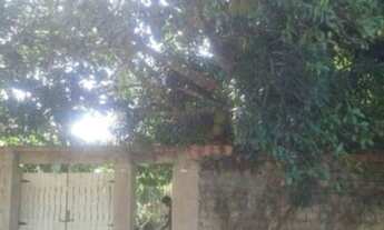 Imagem 7: CHACARA RESIDENCIAL em SÃO LUÍS - MA, ESTIVA