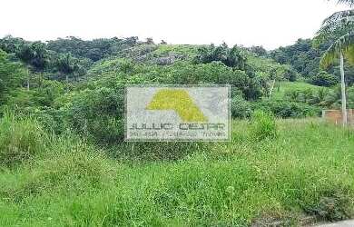 Imagem 7: Ótima oportunidade terreno totalmente plano com água e esgoto