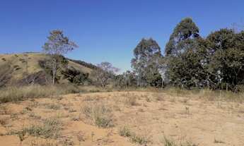 Imagem 4: Lote/Terreno para venda tem 24200 metros quadrados